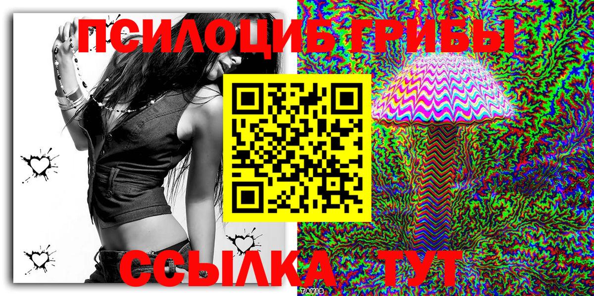 Карабулак  как найти наркотики  Псилоцибиновые грибы Magic Shrooms  Вход с VPN  Псилоцибиновые грибы Cubensis 